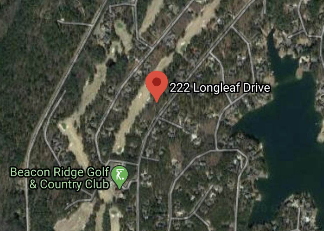 222 Longleaf Drive - Photo 1