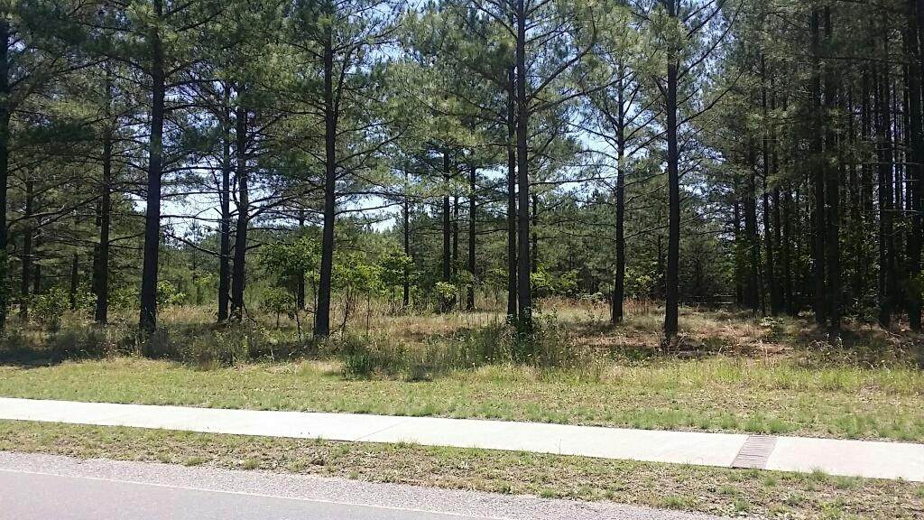 362 Mclendon Hills Drive - Photo 1
