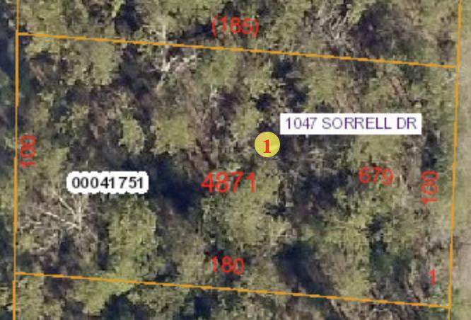 1047 Sorrell Drive - Photo 1