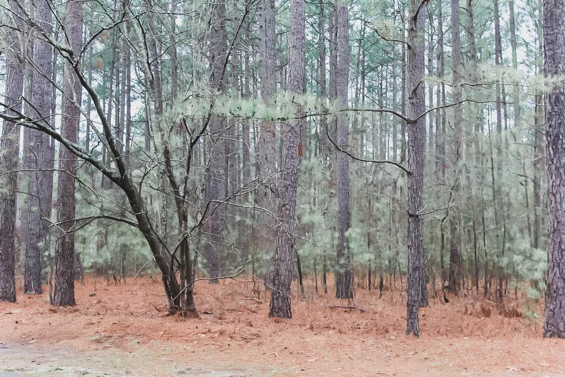 Lot 22 Deercroft Drive - Photo 1