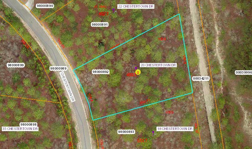 20 Chestertown Drive - Photo 1