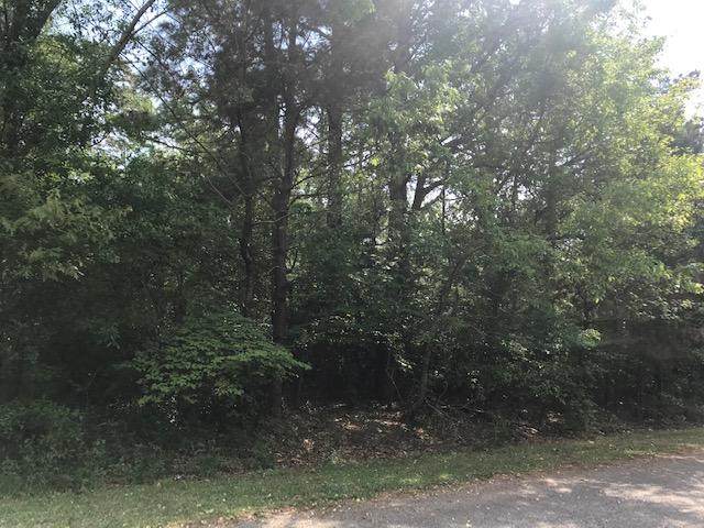 Tbd Rice Road - Photo 1