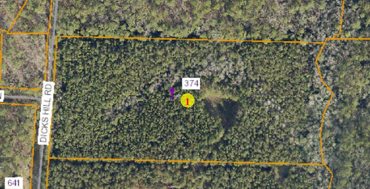 374 Dicks Hill Road - Photo 1