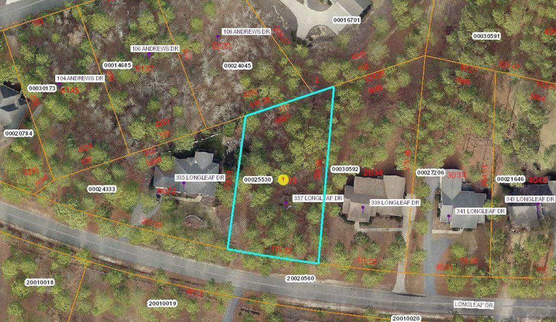 337 Longleaf Drive - Photo 1