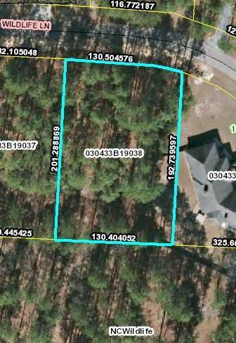 Lot 38 Wildlife Lane - Photo 1