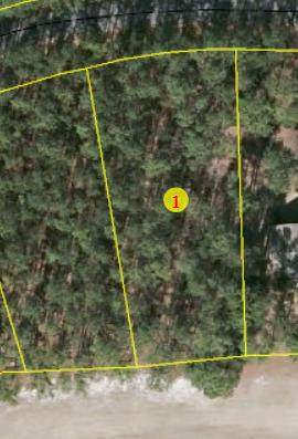 6 Fox Lane - Photo 1