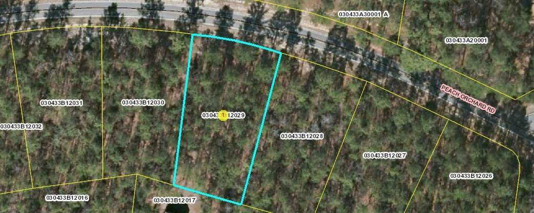 Lot 29 Peach Orchard Road - Photo 1