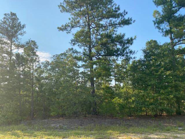 151 Kenric Point - Photo 1