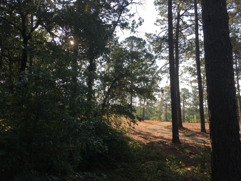15 Brookhaven Road - Photo 1