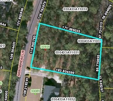 Lot 31 Arrowhead Lane - Photo 1