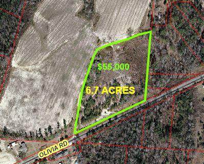 5804 Olivia Road Road - Photo 1