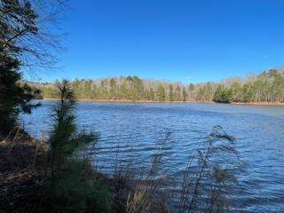 119 Palomino Rd Road - Photo 1