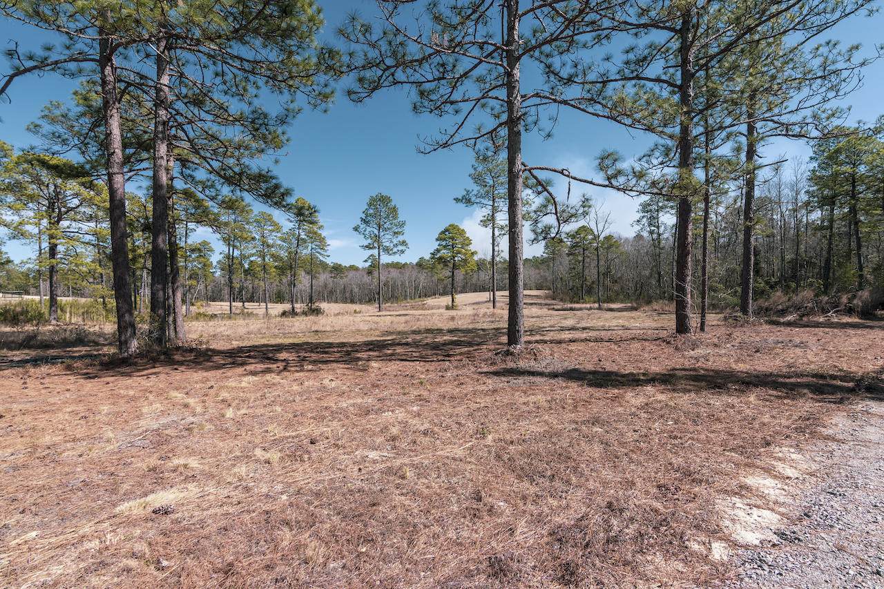 355 Fox Box Road - Photo 1