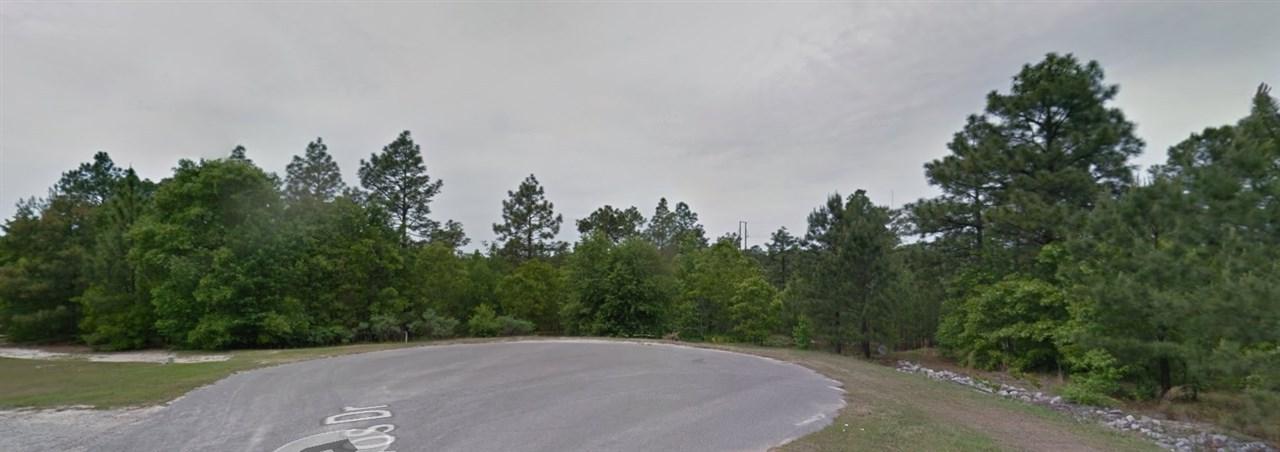 101 Devos Drive - Photo 1