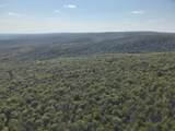 0 Forest Rd - Photo 11