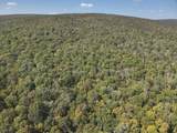0 Forest Rd - Photo 13