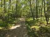 0 Forest Rd - Photo 2