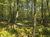 0 Forest Rd - Photo 4