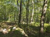 0 Forest Rd - Photo 5