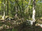 0 Forest Rd - Photo 6