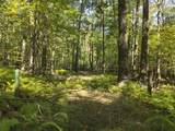 0 Forest Rd - Photo 7