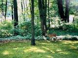 4024 Glen Eden Rd - Photo 28