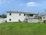 50 Tennyson Street - Photo 19