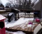 303 Woodland Ave - Photo 13