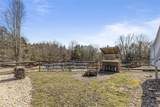 301 Dutch - Photo 40