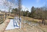 301 Dutch - Photo 43