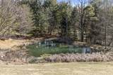 301 Dutch - Photo 48