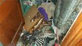 537 Duss Ave - Photo 34