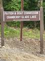 Lot 2 Cranberry Rd - Photo 5
