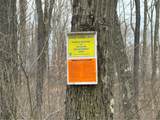 Lot 4 Cranberry Rd - Photo 10