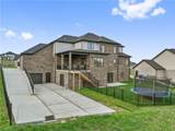 7481 Alvina Ct - Photo 3