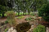 15 Walker Lane - Photo 40