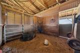 11 Stolze Rd - Photo 43
