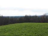 0 Drift Ridge Road / Sheppard Run - Photo 10