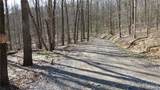 0 Drift Ridge Road / Sheppard Run - Photo 14