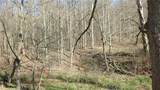 0 Drift Ridge Road / Sheppard Run - Photo 16