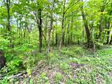 192 Hawkins Hollow Road - Photo 8