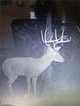 194 Kibe Rd - Photo 5