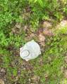 194 Kibe Rd - Photo 9