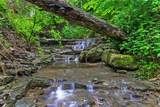 2370 Morrow Road - Photo 48