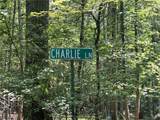 470 Charlie Lane - Photo 28