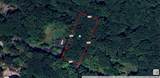 Lot 1735 Cottonwood Road - Photo 1
