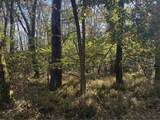 0000 County Line Rd - Photo 19