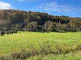 Lot 1 Shag Bark Grove / Mamont Road - Photo 4