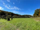 Lot 1 Shag Bark Grove / Mamont Road - Photo 5