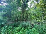 0 Johnson Hollow Rd - Photo 20